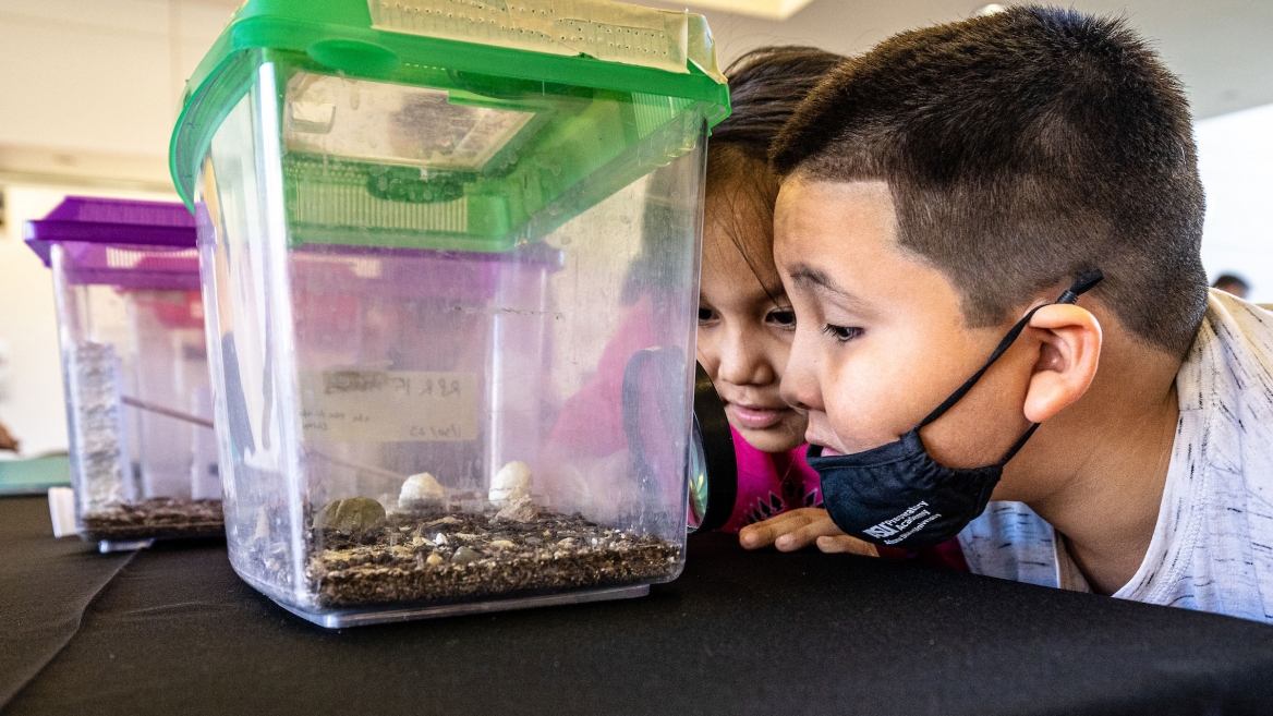 Two young children look at a container with scorpions.